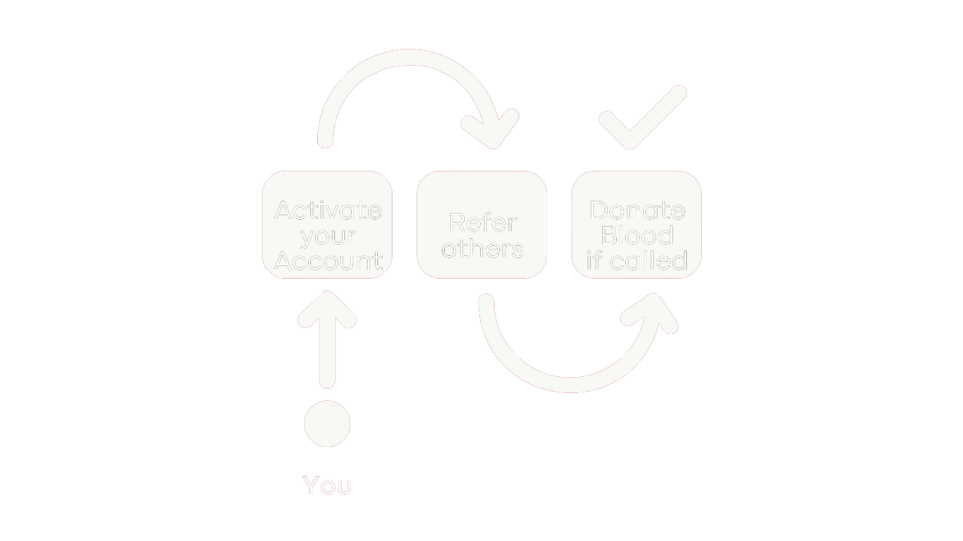 BBHB WebRedesign2 pdf